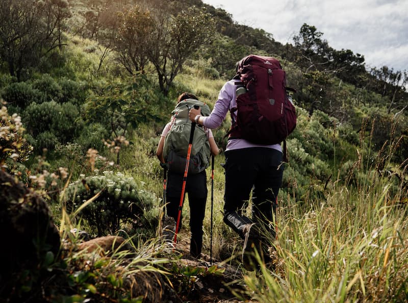 Daftar Gunung Tertinggi di Indonesia