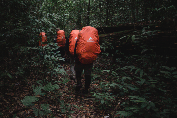 pemandangan air terjun
