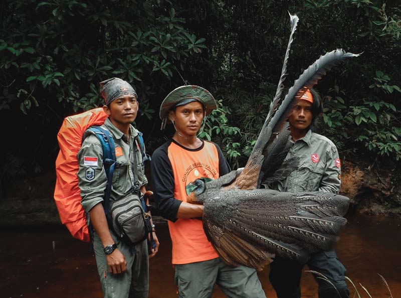 TIM EKSPEDITOR & PACET