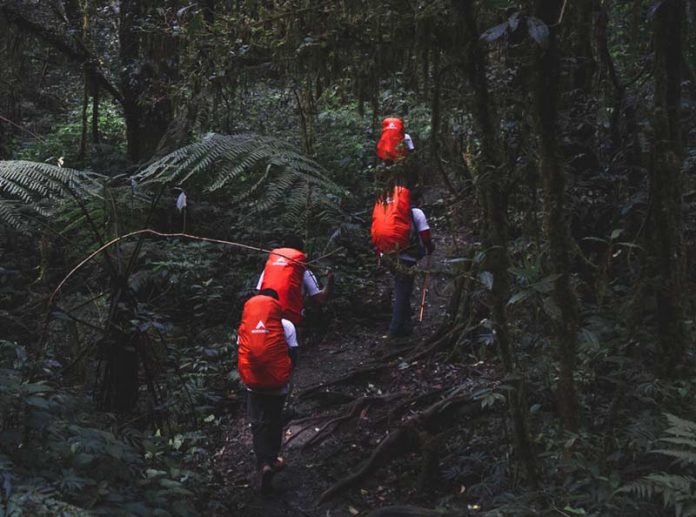 KILAS BALIK EKSPEDISI 28 GUNUNG DI GUNUNG CIREMAI JAWA BARAT