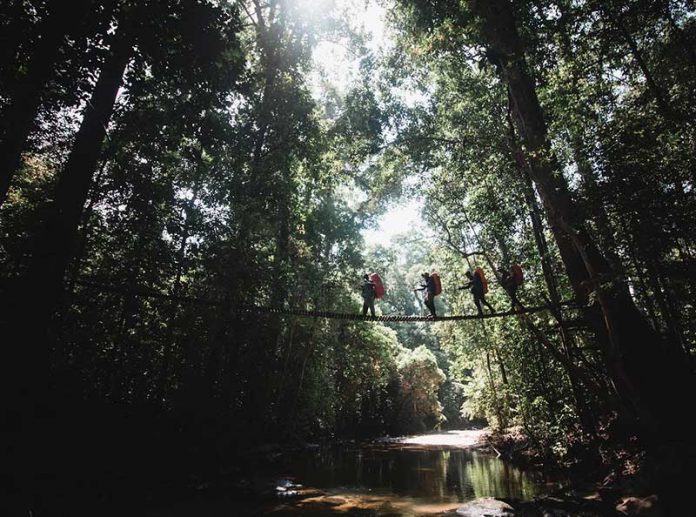 GUNUNG PALUNG KALIMANTAN BARAT – KILAS BALIK EKSPEDISI 28 GUNUNG