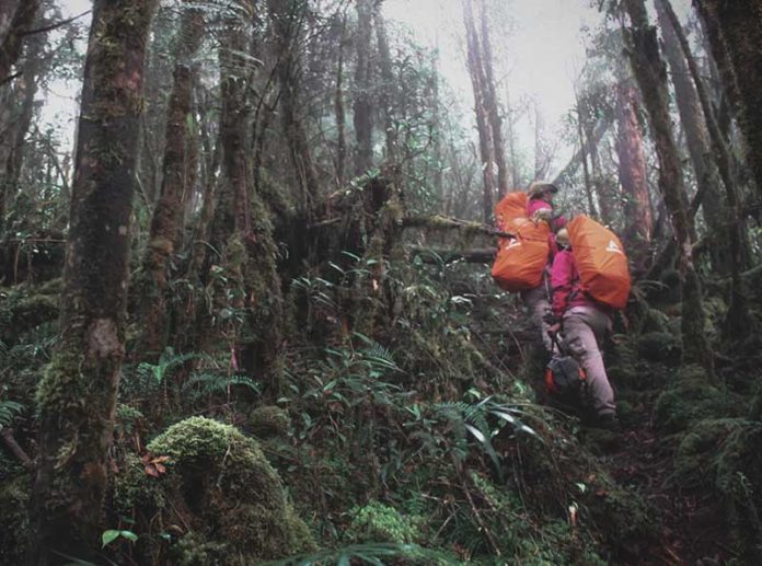 GUNUNG RORE KATIMBU SULAWESI TENGAH