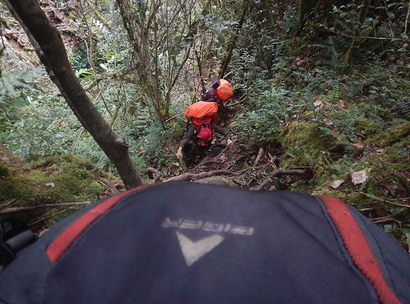 EKSPEDISI 28 GUNUNG - HUTAN DI GUNUNG MASURAI