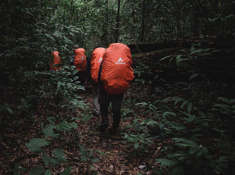 EKSPEDISI 28 GUNUNG DI PALUNG