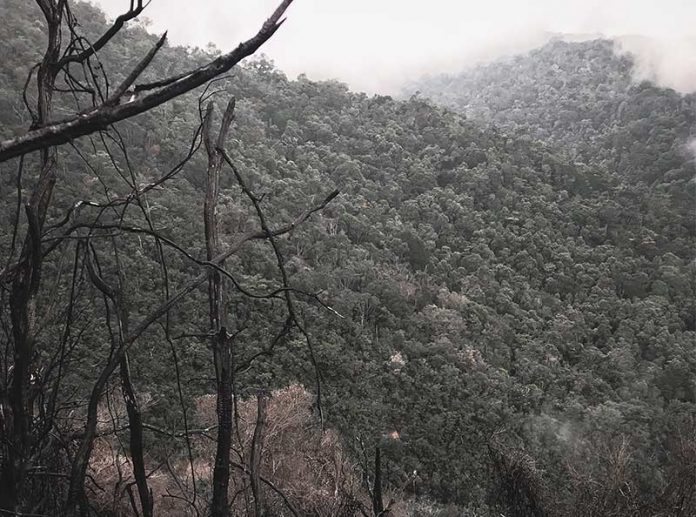 GUNUNG PATAH, BENGKULU – KILAS BALIK EKSPEDISI 28 GUNUNG