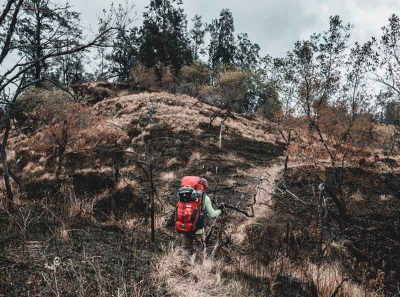 EIGER GN. TAMBORA T-SHIRT EDISI SPESIAL