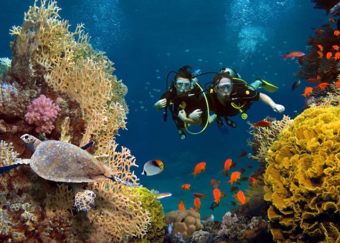 taman nasional bunaken