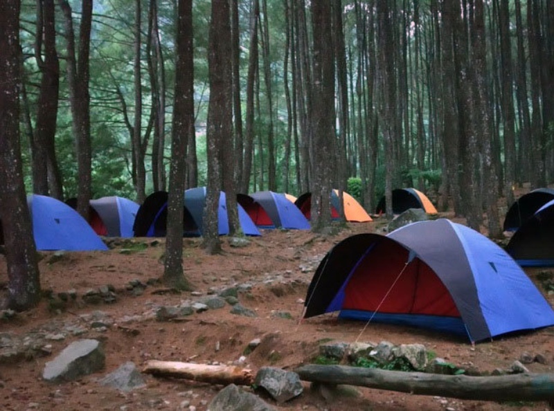 Bumi Perkemahan Suaka Elang