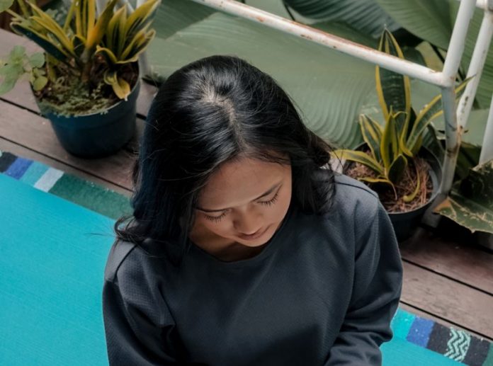 Tanaman Rumah Penghasil Oksigen