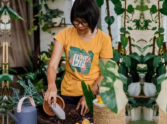 Gaya Hidup Minimalis