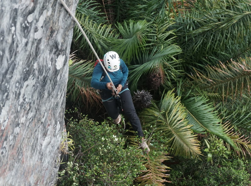 Rekomendasi Tempat Wall Climbing Jakarta