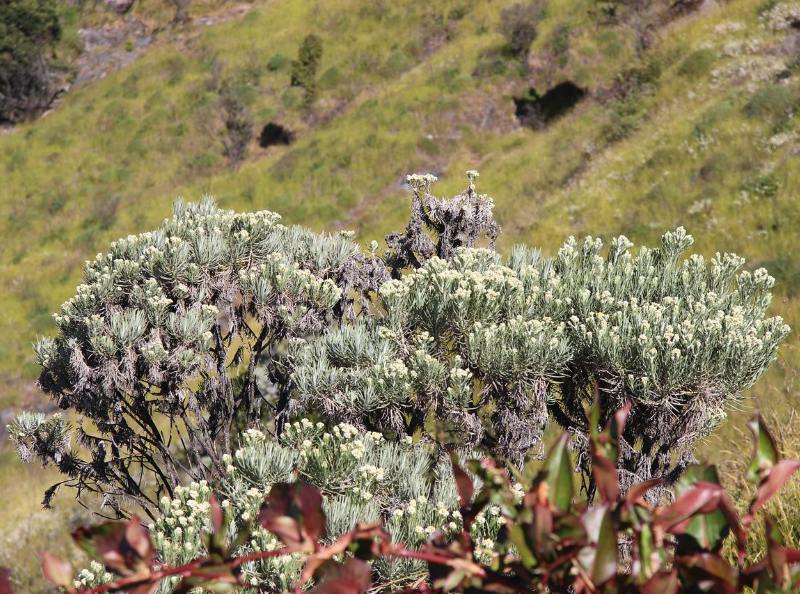 desa wisata petani lokal