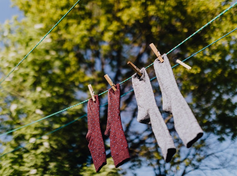 manfaatkan cahaya alami