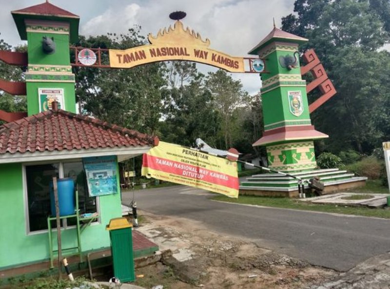gerbang taman nasional way kambas