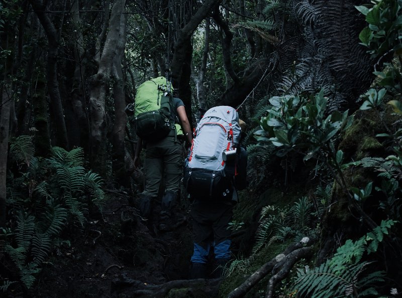 jalur pendakian gunung burangrang