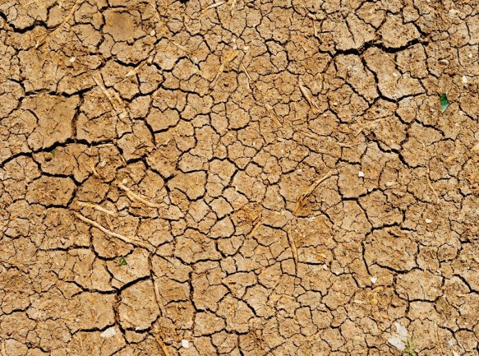 dampak pencemaran tanah