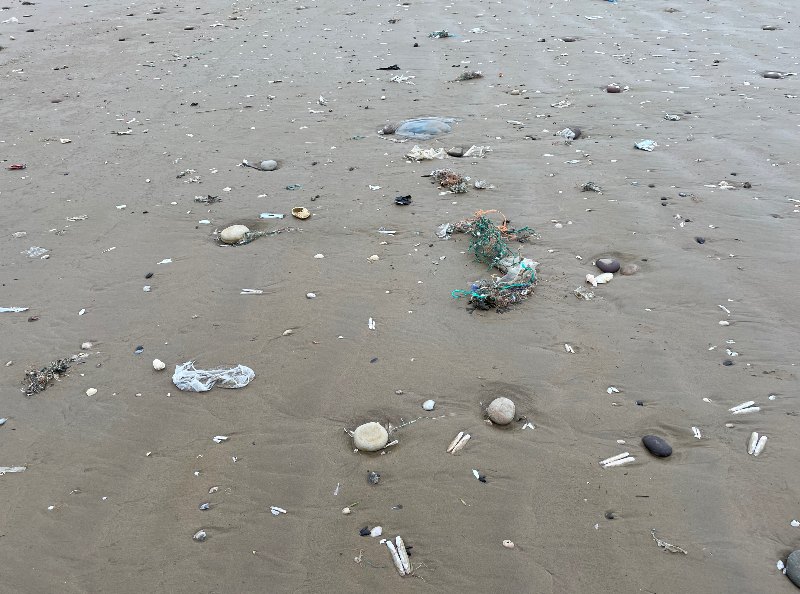 dampak pencemaran tanah