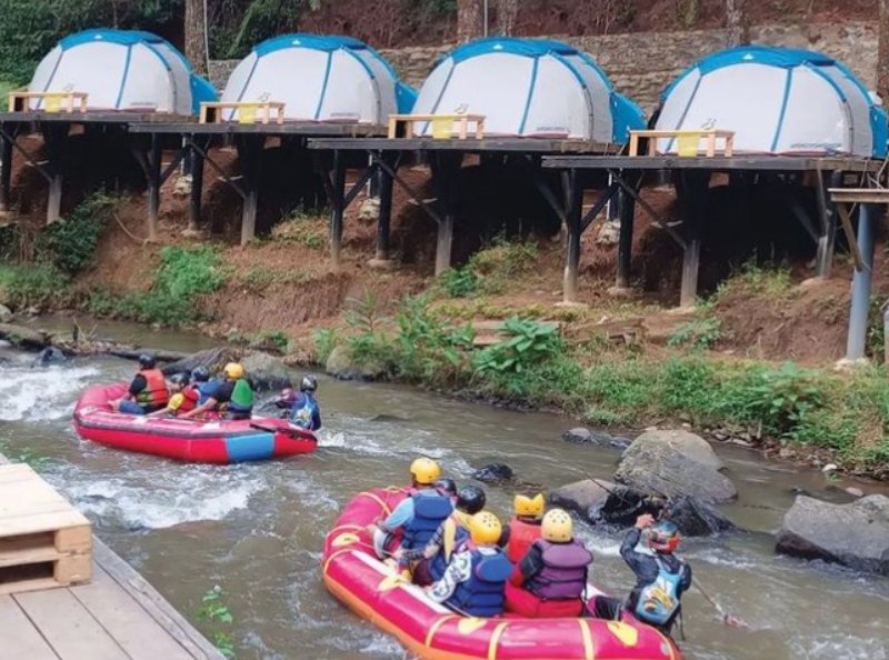 4. Hutan Pinus Rahong