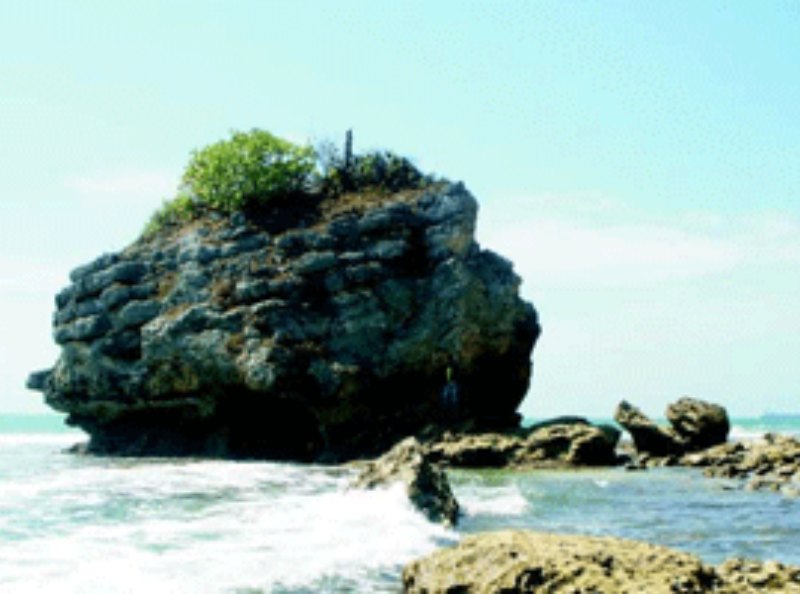 Cagar Alam Karang Bolong