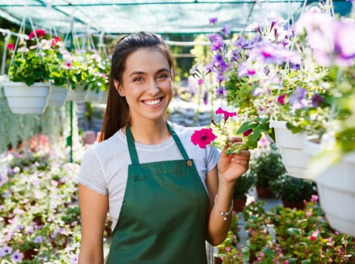 tanaman hias gantung