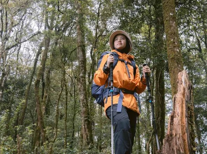 hari gunung internasional