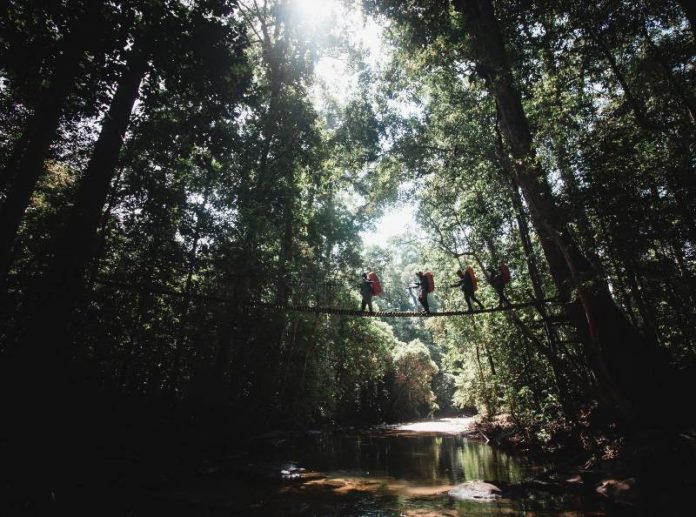 hari konservasi kehidupan liar sedunia