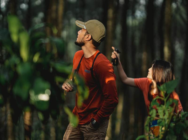 pengamatan satwa liar