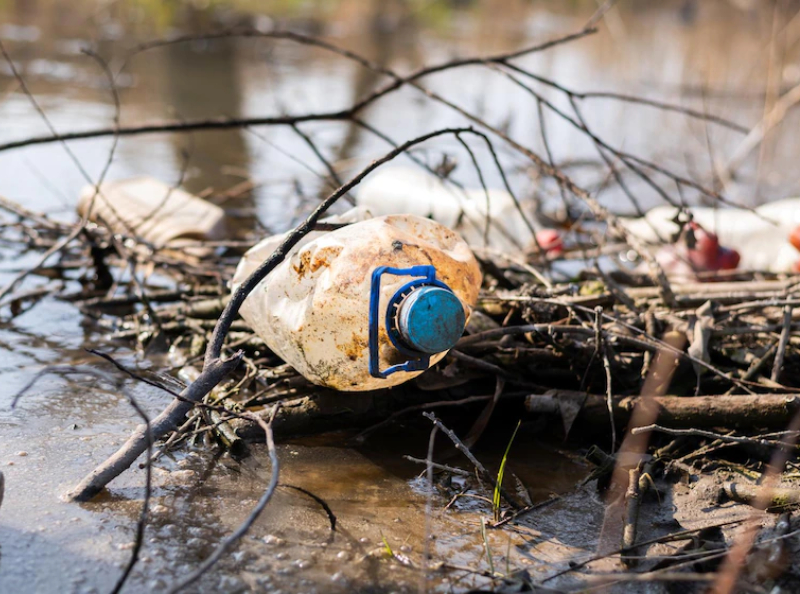 dampak pencemaran air