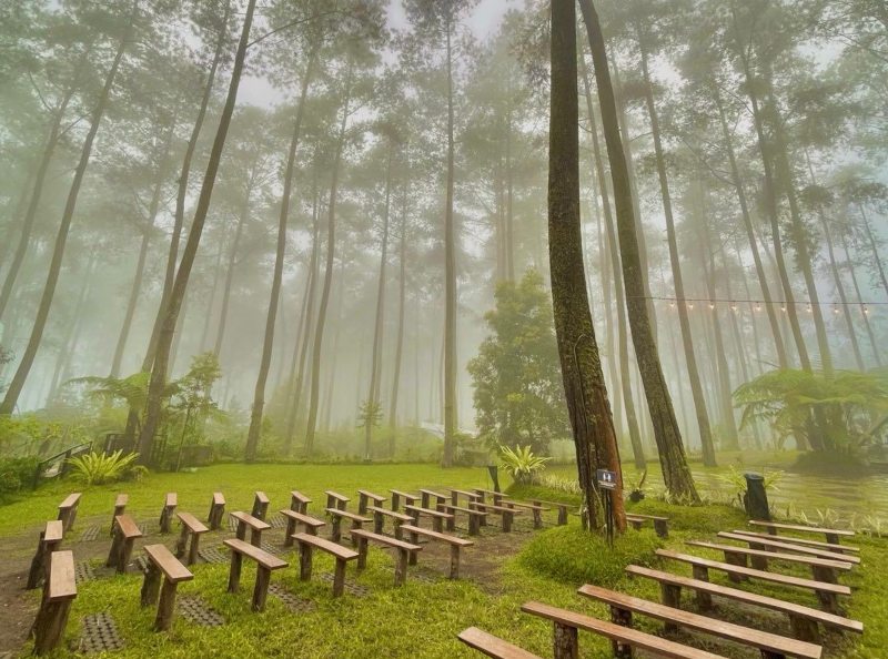 Orchid Forest Cikole