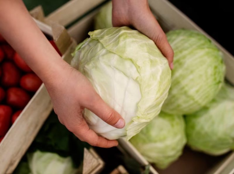 kubis penyebab bau badan