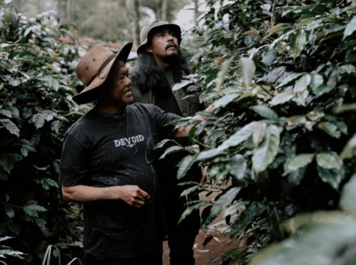 Tanaman Pencegah Banjir