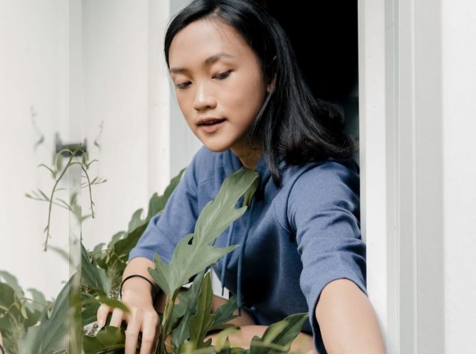 cara berkebun di halaman rumah yang sempit