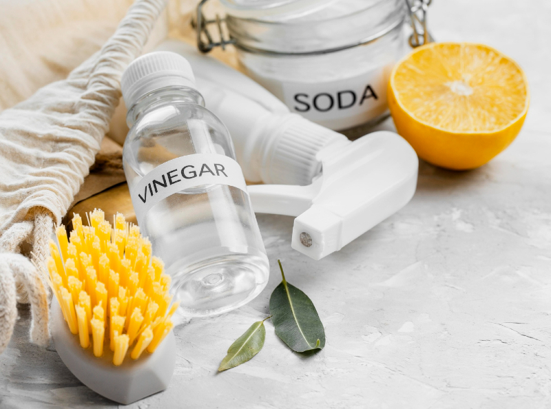 cara membasmi kutu kasur