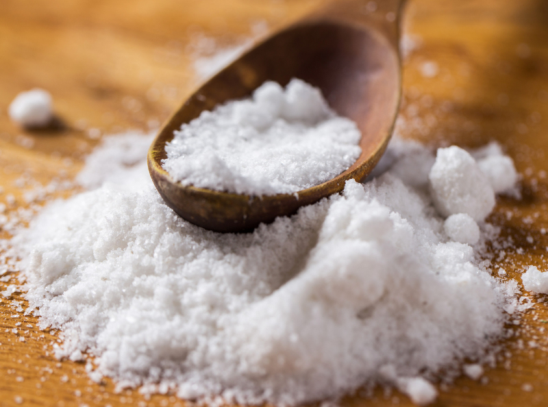 cara membasmi kutu kasur