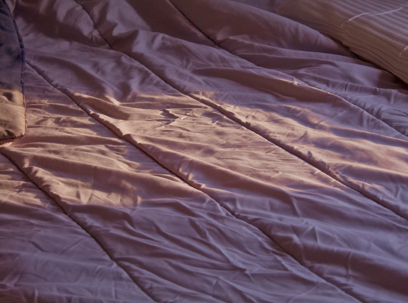 cara membasmi kutu kasur