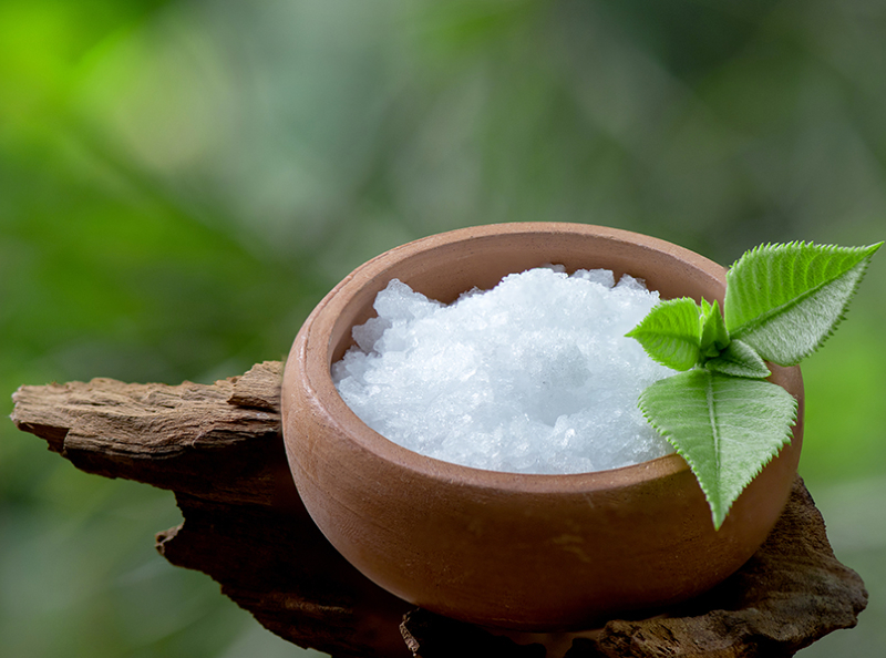 cara membasmi kutu kasur