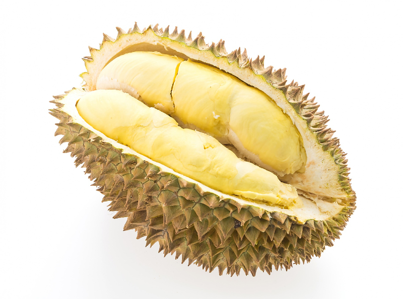 cara membasmi kutu kasur