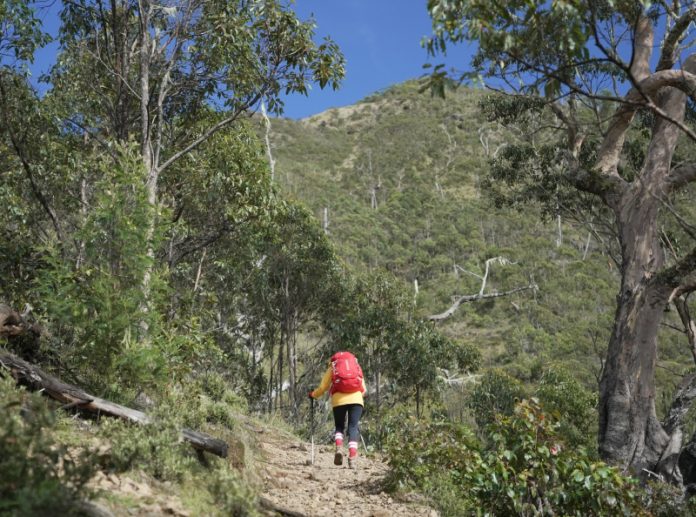 apakah sepatu olahraga bisa untuk naik gunung