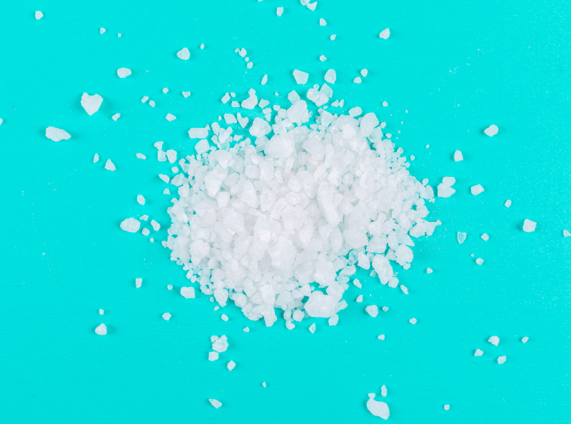 cara membasmi kutu kasur