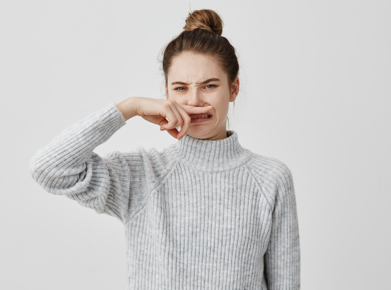 cara menghilangkan bau bangkai tikus