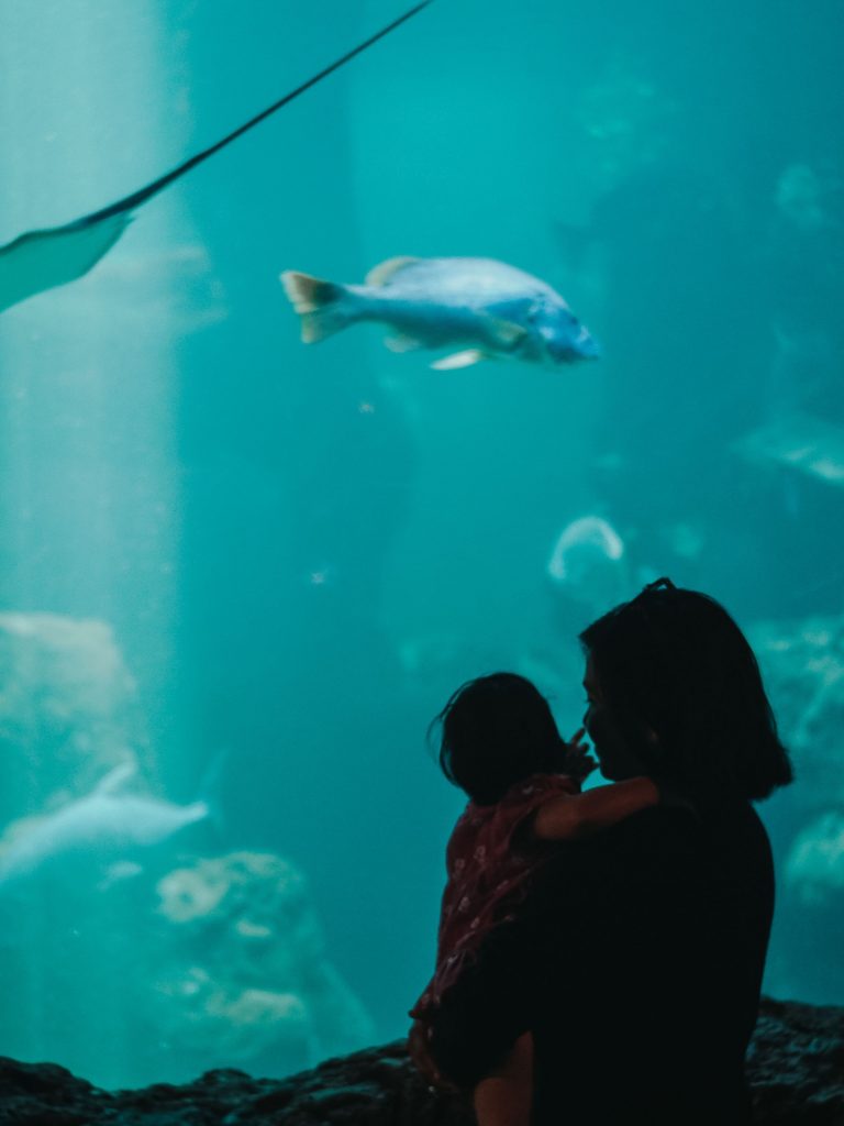 Tips traveling kereta komuter buat perempuan