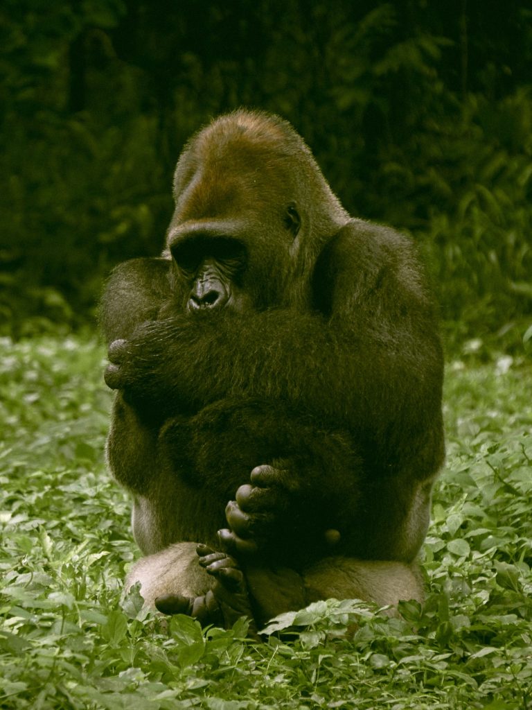 Tips naik kereta komuter buat perempuan