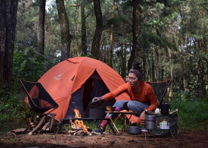 makanan sumber energi