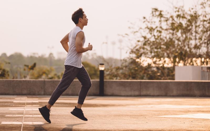 Jelajah hutan belantara