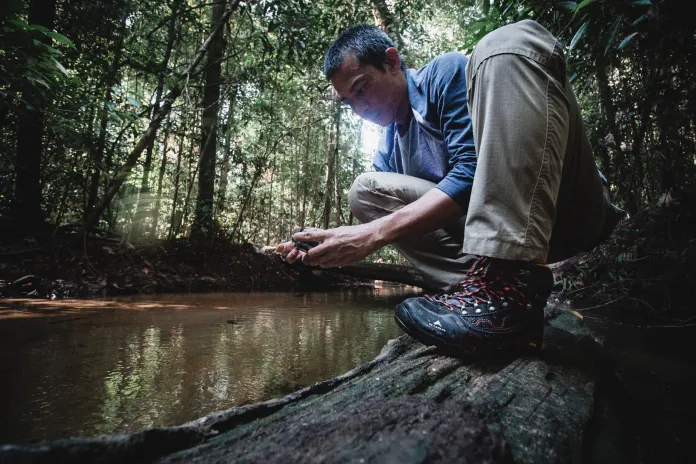 cara mencari air bersih untuk diminum di hutan
