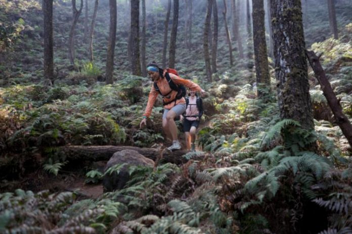 jelajah hutan nusantara