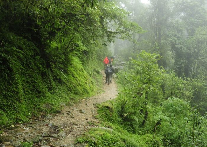 membiarkan baju basah bisa berakibat