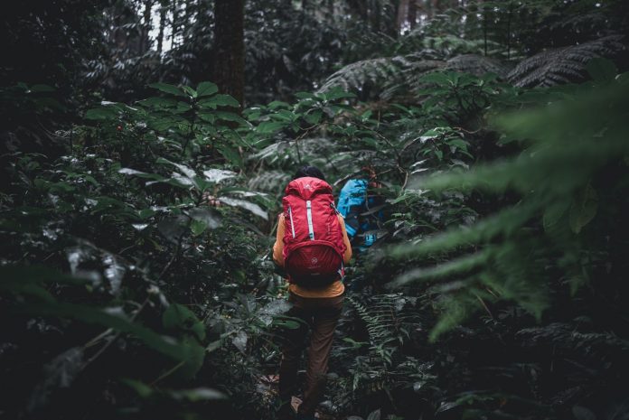 pendakian gunung arjuno