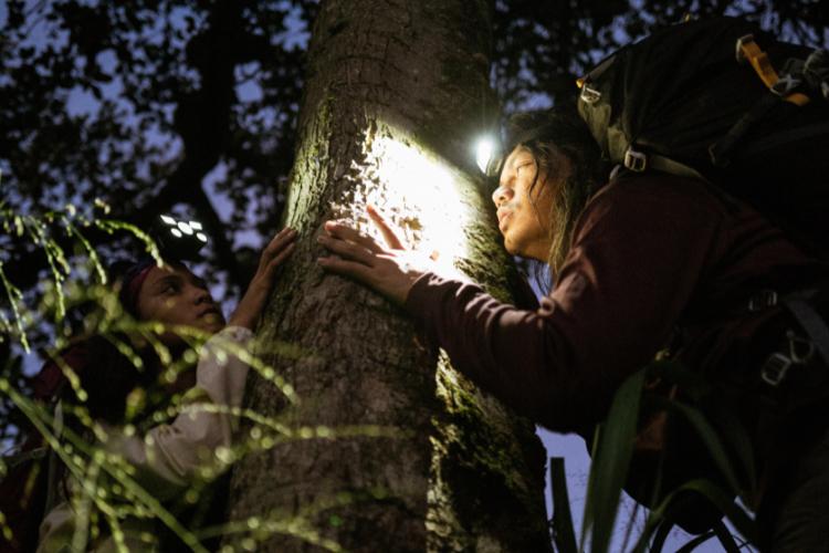 Senter kepala terbaik