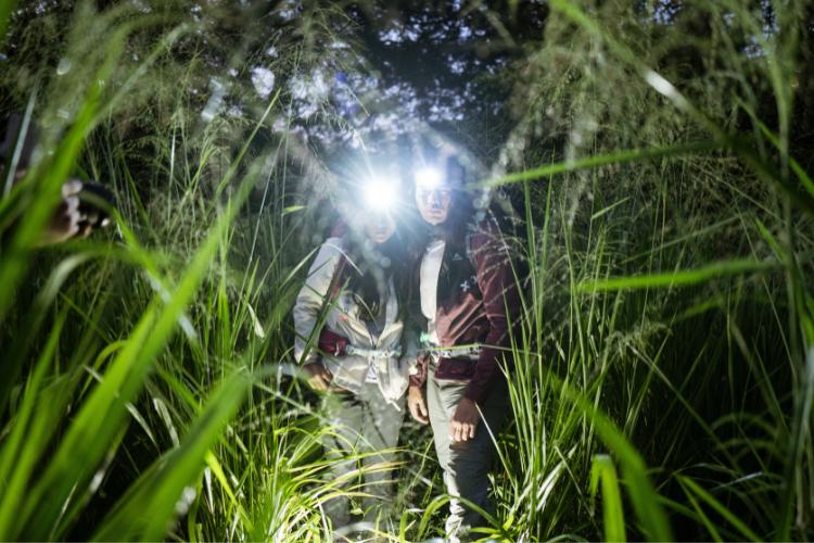 Senter kepala terbaik